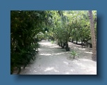 Helengeli 042